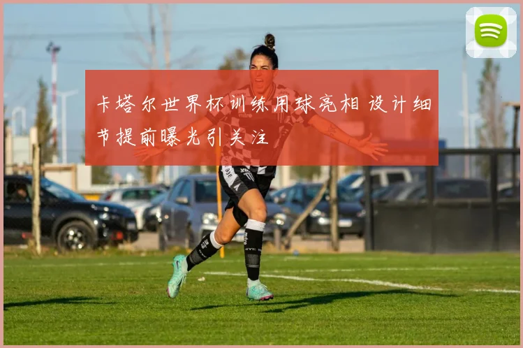 卡塔尔世界杯训练用球亮相 设计细节提前曝光引关注