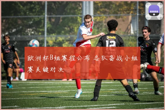 欧洲杯B组赛程公布 各队备战小组赛关键对决