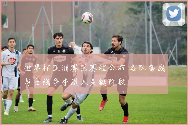 世界杯亚洲赛区赛程公布 各队备战与出线争夺进入关键阶段